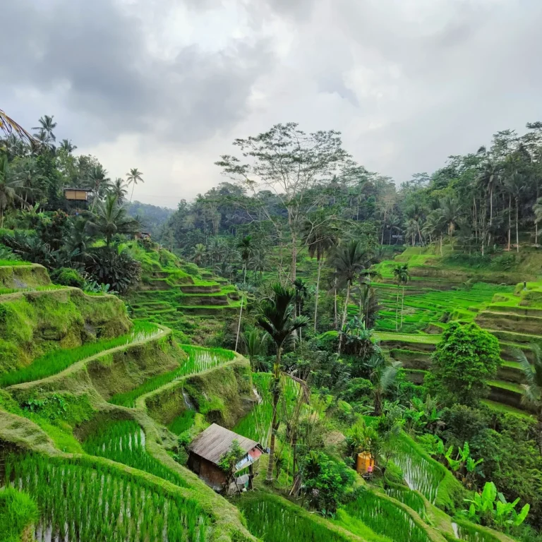 ubud bali gianyar